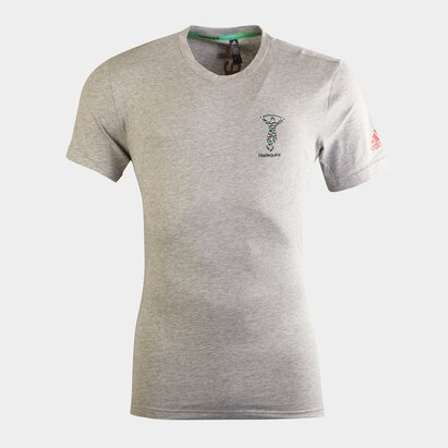 adidas Harlequins 2020/21 Players Cotton T-Shirt